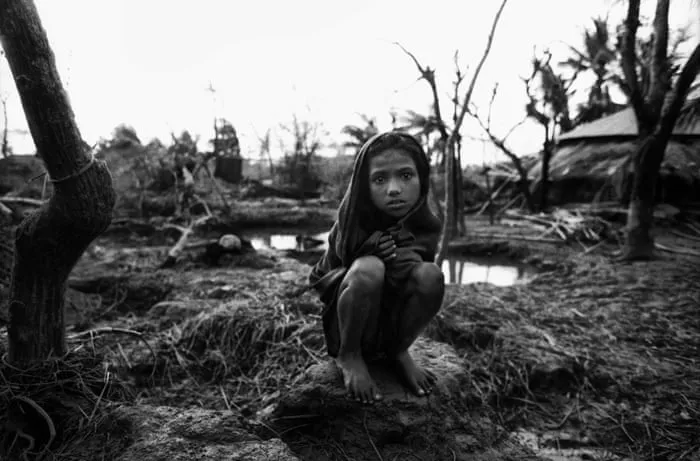 两个人看的片BD高清 - 消失的部落获奖纪录片海报
